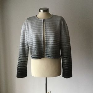 St. John Knit Silver Striped Jacket